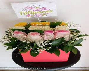FLORISTERíA TULIPANES ARMENIA
