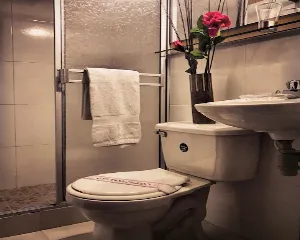 HOTEL MESON DE LAS FLORES