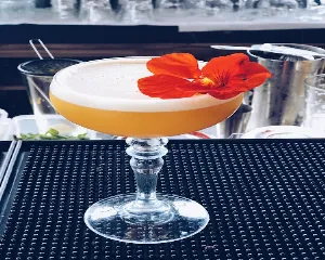 ICóNICO TERRAZA