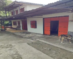 MUEBLES