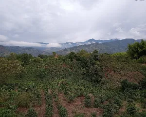 EL DIAMANTE