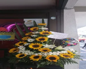 FLORISTERíA EN ARMENIA