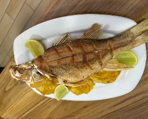 LA LANGOSTA