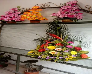FLORISTERíA MARILY AVE DEL PARAISO