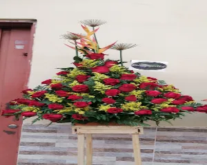 FLORISTERíA CAMPANILLA EN ARMENIA