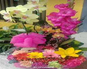 TUS FLORES