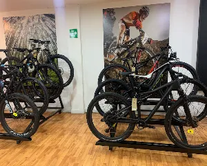 SPECIALIZED ARMENIA