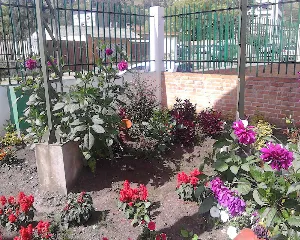 CENTRO DE DIAGNOSTICO AUTOMOTOR DE NARIñO