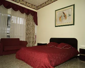 HOTEL DEL PARQUE