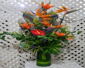 FLORISTERIA AMPAROS WASAP 3006205056