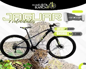 ALMACéN FLOTA BLANCA SEDE 1