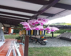TIENDA ARA SIETE DE AGOSTO