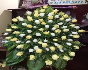 FLORISTERíA EN ARMENIA