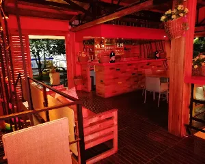 DARPAPAYA