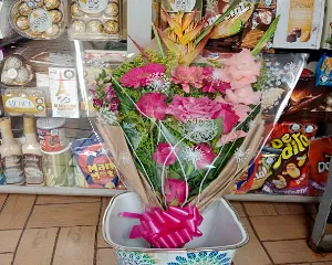 TIENDAS D1