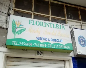 FLORISTERíA MARILY AVE DEL PARAISO