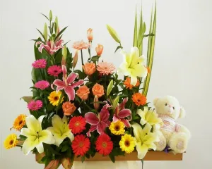 FLORISTERIA D