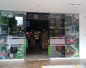 LAURELES EXPRESS