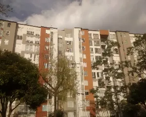 EL GUADUAL