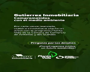 GUTIERREZ INMOBILIARIA