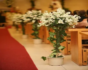 FLORISTERIA D