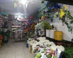 VENTA DE FLORES EN ARMENIA