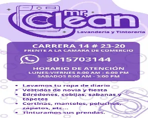 LAVANDERIA Y TINTORERIA MR.CLEAN