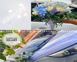 HILLARY FLORISTERIA & DETALLES