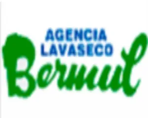LAVANDERíA AGENCIA BERMUL