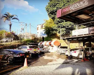 PROSERVICE