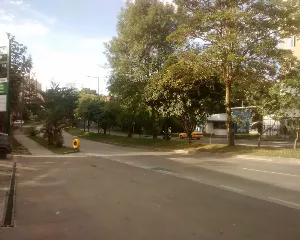 EL GUADUAL
