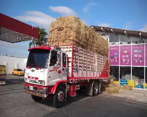 EDS SURTIDOR BOYACA
