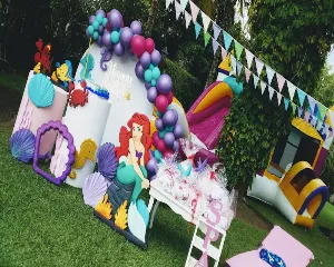 ANIMACION EXPRESS PEREIRA Y ARMENIA
