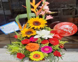 FLORISTERIA YERAL RAIGOZA