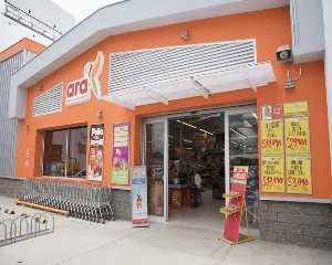 TIENDAS ARA