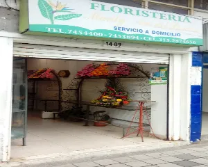 FLORISTERíA MARILY AVE DEL PARAISO