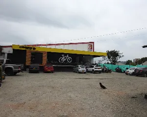 TIENDA D1 AVENIDA CENTENARIO
