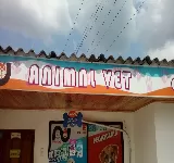 ANIMAL VET