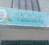 ANIMALAHIA