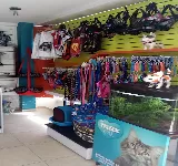 ANIMALL