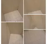 C.W CARPET CLEAN
