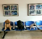 CENTRO VETERINARIO ALEáN