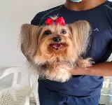 CENTRO VETERINARIO CANIS