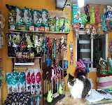 CENTRO VETERINARIO DE ESTERILIZACIÓN PATAS ARRIBA