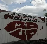CENTRO VETERINARIO MASCOTAS