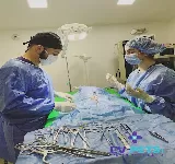 CLINICA VETERINARIA CVPETS