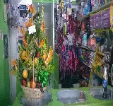 CLINICA VETERINARIA FAUNAPETS