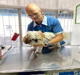 CLINICA VETERINARIA LOS GALGOS
