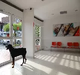 CLINICA VETERINARIA SANI CANIS