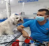 CLíNICA VETERINARIA MASCOTAS